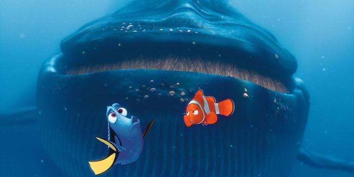 Buscando a Nemo · Disney