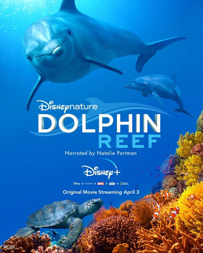 Dolphin Reef - Disney