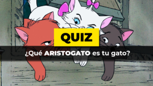 Quiz · Aristogato