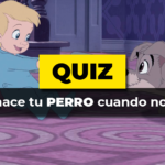 Quiz · Perro