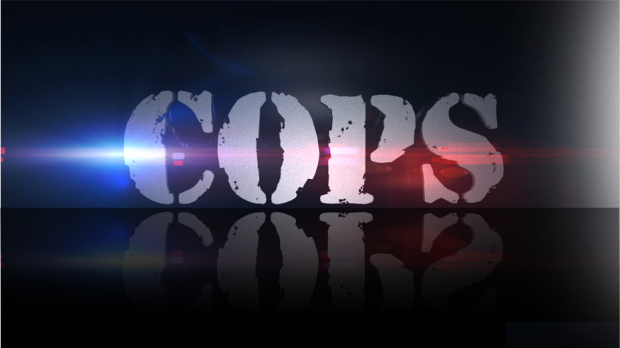 COPS - Paramount Network