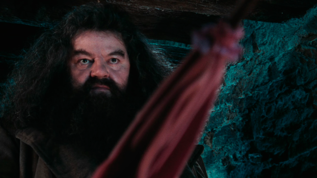 Puedes tener el paraguas rosa de Hagrid