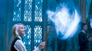 Consigue la varita de tu personaje favorito de Harry Potter