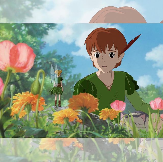Disney versión Ghibli por Valentin Varrel