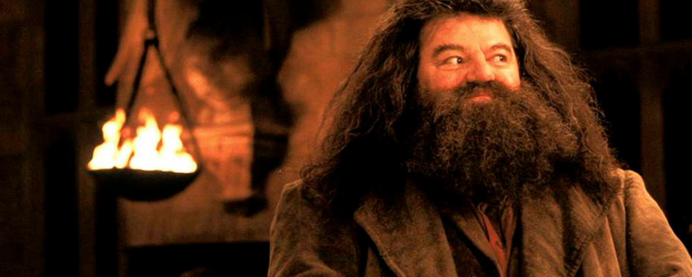 Señales Hagrid Portada